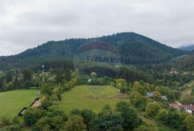 Proiect autorizat (AC) pentru constructia a 2 vile indivi... - 3