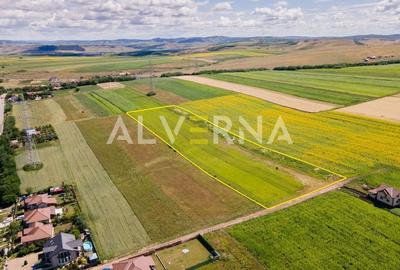 Teren Construcții intravilan de 11600 mp, în Jucu de Sus - 4