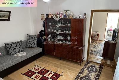 Tihuana Imobiliare:casa de vanzare-Buna Vestire - 14
