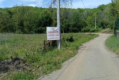 Teren intravilan de 1807 mp, în Țipărești - 7