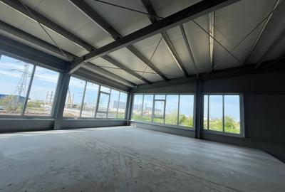 Hala de Inchiriat 600mp - Pallady - Parc Logistic 2026 - 9