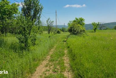 Teren de 6352 mp, în Păcureți - 4