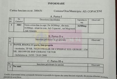 Spațiu comercial, în Mogoșești