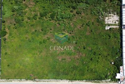 Teren Mogosoaia - PUZ aprobat pentru vile P+1E - 6