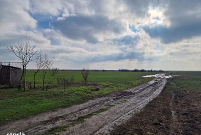 Teren de 14635 mp, în Frumușani - 2