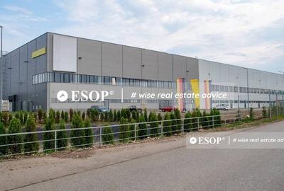 Spațiu industrial, de 6,000 mp, în Exterior Sud - 3