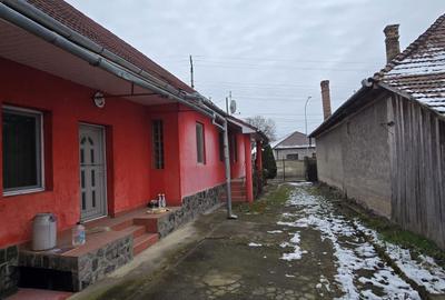 Casă cu 4 camere în Apalina - 6