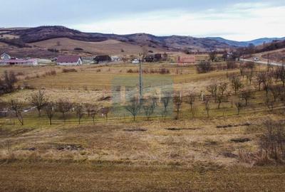 Teren Construcții intravilan de 1500 mp, în Bonț - 4