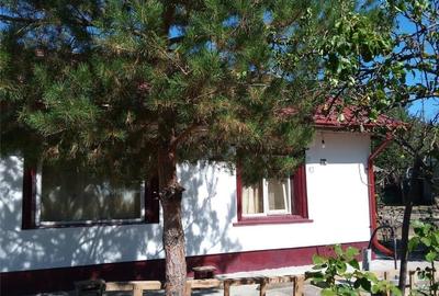 Casă cu 7 camere în Botoroaga - 6