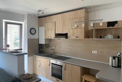 Vanzare studio open space- 36 mp - Turnisor - 4