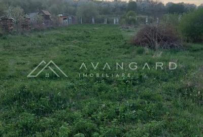 Teren intravilan 1800 mp – Șutu, comuna Ciurila - 2