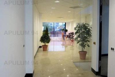 Imobil de Lux Zona Dacia Eminescu 450 MP Pretabil Birouri | Business - 2
