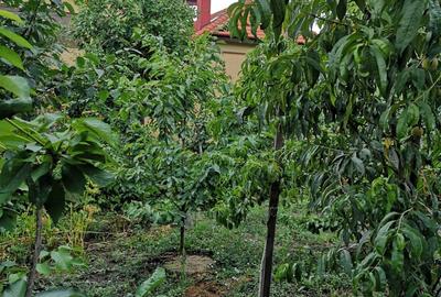 Casă cu 210 camere cu Teren 400 Mp în Mehala - 3