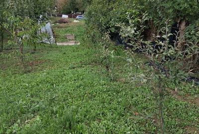 Spațiu comercial, în Românești - 1