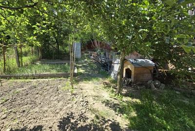 Casa cu gradina si mansarda - Aciliu, la doar 20 km de Sibiu! - 19