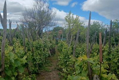 Casă cu 3 camere în Unirea - 3