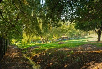 Teren Extravilan/Intravilan 3290 mp Codlea - 7