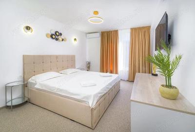 Hotel / Business / Timisoara - 1