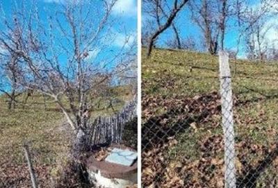 Teren de 2894 mp, în Vistieru - 8
