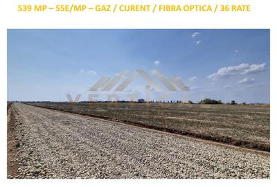 Teren de 539 mp, în Berceni - 1