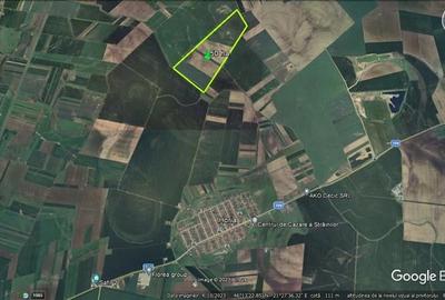 Teren 50 ha compact, pentru balastiera sau parc fotovoltaic, zona Horia