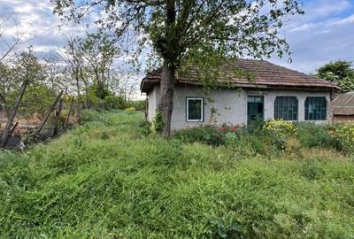 Casă individuală cu 3 camere cu Teren 850 Mp în Tămădău Mic - 4