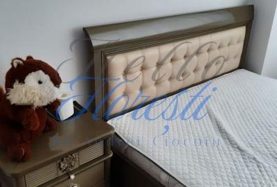 Apartament cu 2 camere decomandat în Dosu Bricii - 5