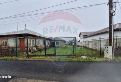 Teren de 808 mp, în Cernica - 2