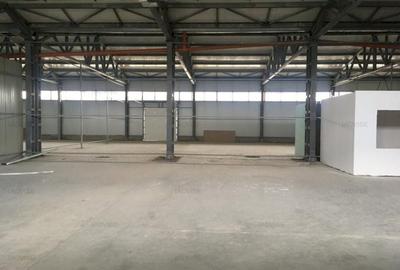 Spațiu industrial, de 280 mp, în Tractorul