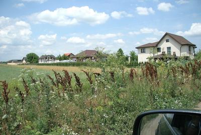 TARTASESTI - Str. Giurgiului, 20.000 mp. teren din care 12.500 in INTRAVILAN - 2