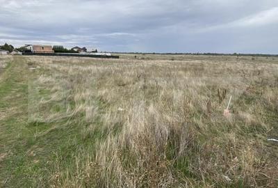 Teren 1042 mp, deschidere dubla 40m/29m, zona Selgros/Casa - 4