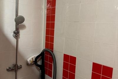 Apartament cu 2 camere, mobilat în Județean - 5