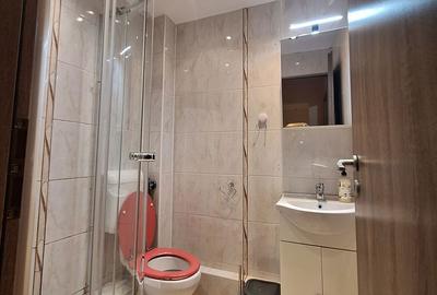 Apartament cu 3 camere decomandat, mobilat în Girocului - 5