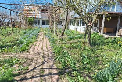 A 24 case 10000 mp teren Seciuieni Bacau - 7