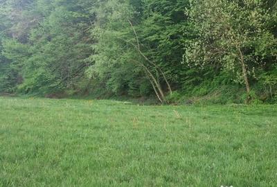 Teren de 26403 mp, în Negreni - 12