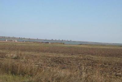 Teren Lacul Sinoe, Istria, Constanta 90,000 mp - 5