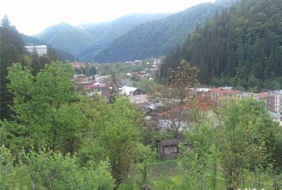 Teren de 5062 mp, în Voineasa - 6