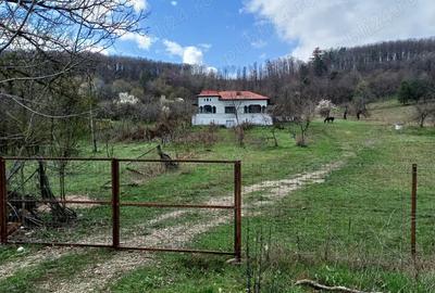 Casă cu 4 camere cu Teren 9000 Mp în Cotmeana - 9