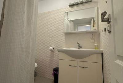 Apartament cu 2 camere, mobilat în Cișmigiu - 4