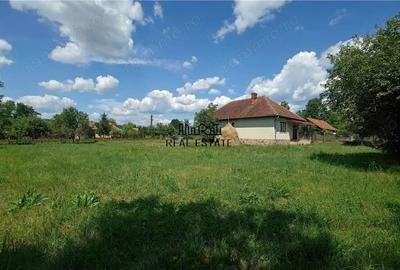 Teren generos si casa din caramida in satul istoric Tebea - 19