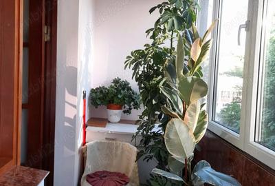 Apartament 2 camere - vedere la Dunare - 1