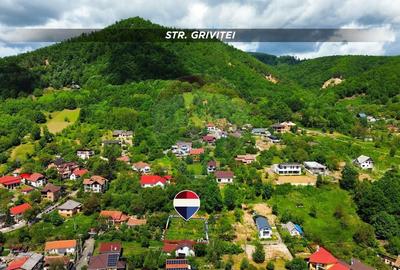 Teren Construcții intravilan de 760 mp, în Griviței - 3
