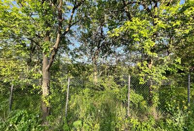 Teren intravilan ,cu vegetatie, 2700 mp, zona Siret - 12