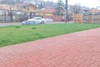 Casă individuală cu 3 camere cu Teren 300 Mp în Păcurari - 2