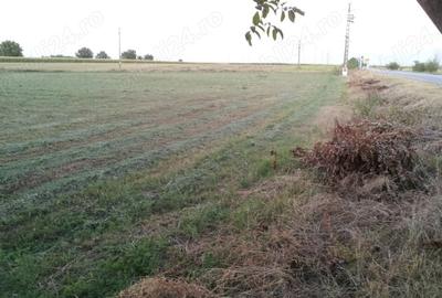 Spațiu comercial, în Cărpiniș - 13