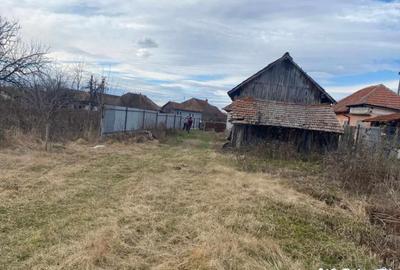 Casă cu 3 camere cu Teren 3300 Mp în Central - 8