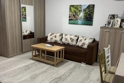 Apartament cu 2 camere decomandat, mobilat în Centură - 2