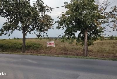 Spațiu comercial, în Ghiroda - 10