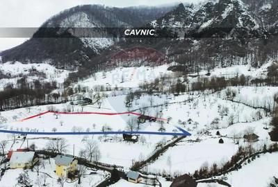 Teren în Central - 5