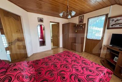 Casa cu destinatii multiple, 8900 mp teren, Vatra Moldovitei - 18